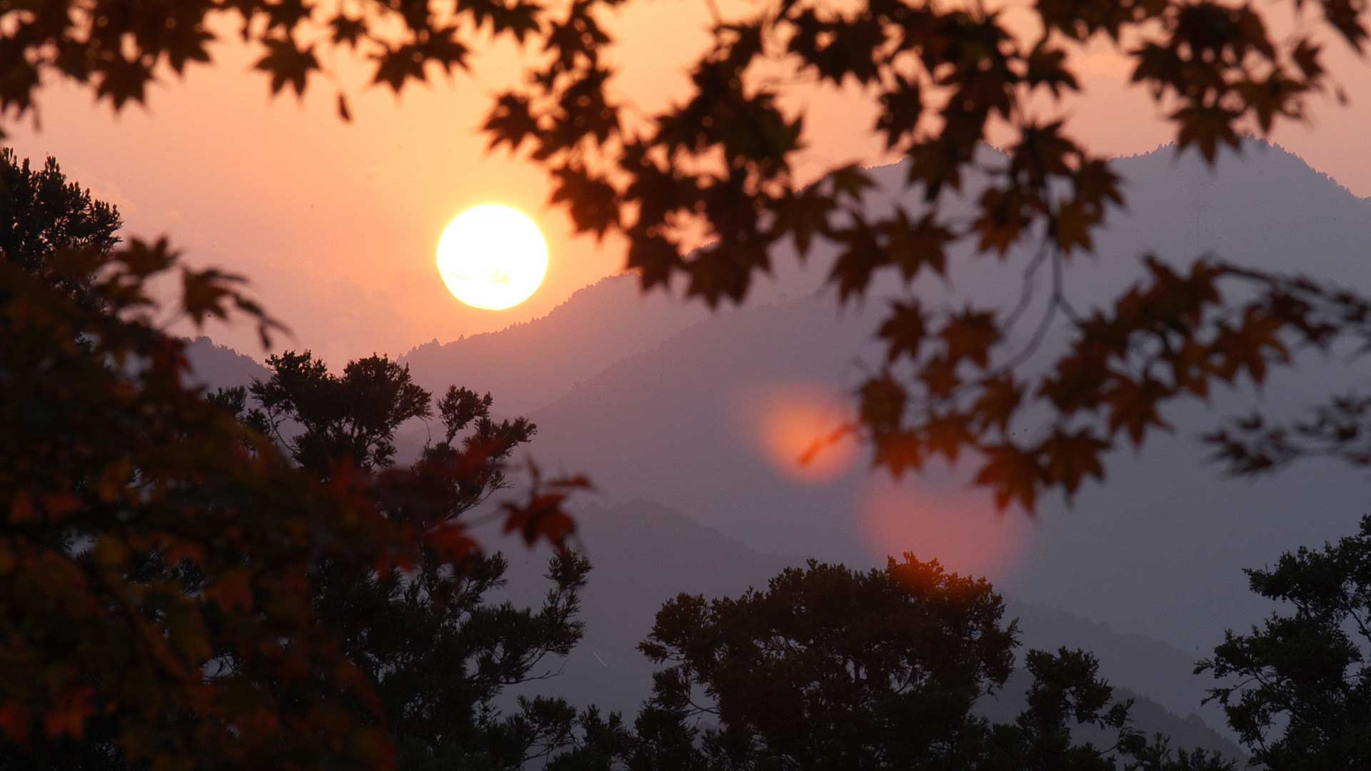 王地山-(5)_1920